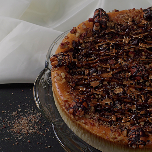 cheescake-tortuga-02