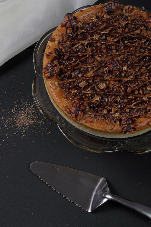 cheescake-tortuga-cover